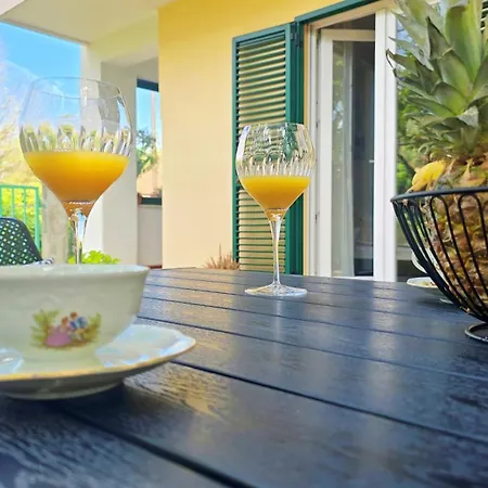 Suzy's Botanica Daire Zadar