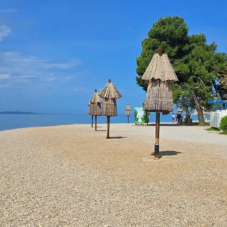 Suzy's Botanica Daire *