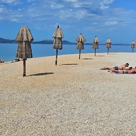 Suzy's Botanica * 자다르