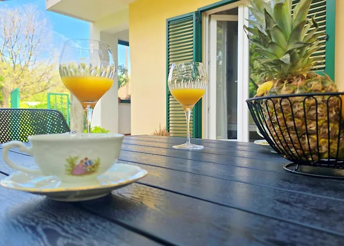 Suzy's Botanica 公寓 扎达尔