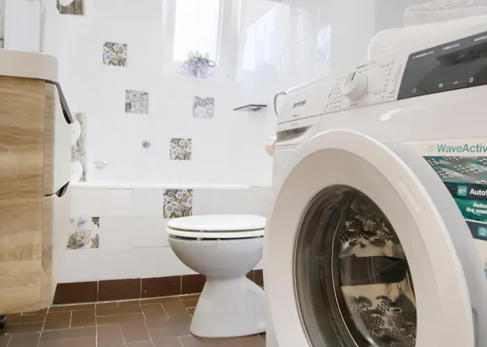 公寓 Suzy's Botanica 扎达尔